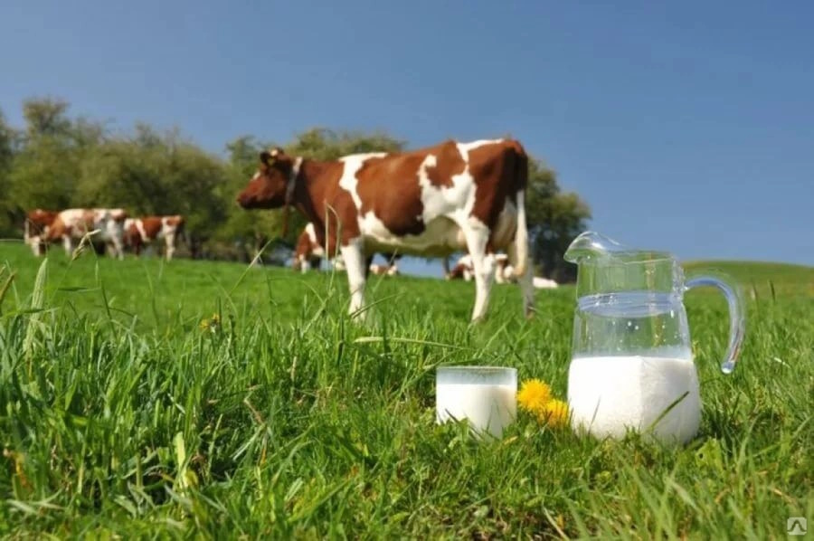 Компенсация на поддержку собственного производства молока.